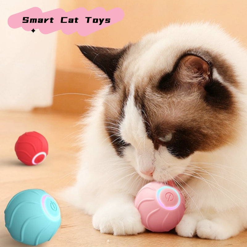 Cat Toys
