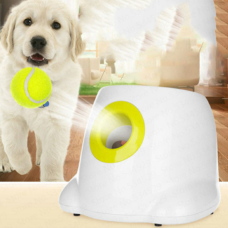 Dog Toys
