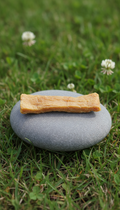 Single-Ingredient Chicken Dog Treats