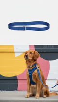 Skyline Blue Leash and Handle Set