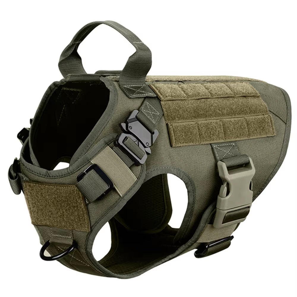 cea35ad979d48a1d2e8b1858ae009ece