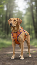 Adjustable No-Pull Dog Harness